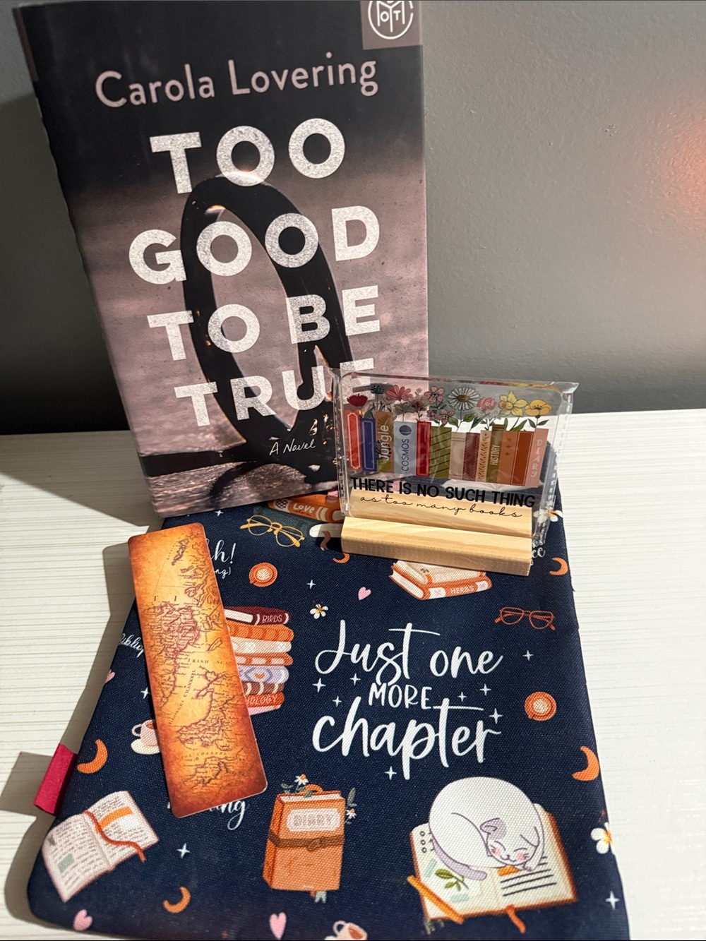Too good to be true by CAROLA LOVERING includes books sleeve plaque, & bookmark